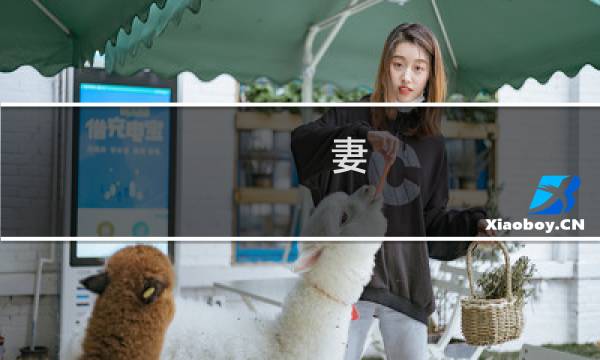 妻 大妈攻略