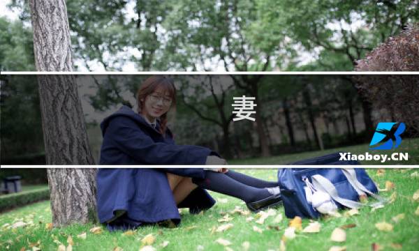 妻 攻略带