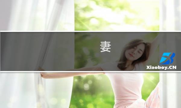 妻 攻略