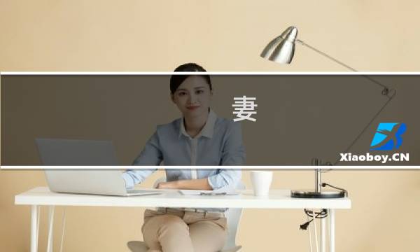 妻 游戏攻略
