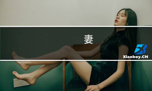 妻 爱 攻略cg