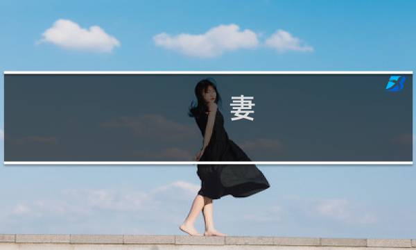 妻 老师攻略