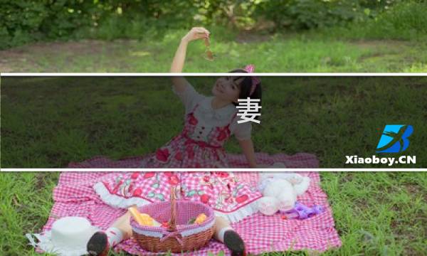 妻 3 攻略