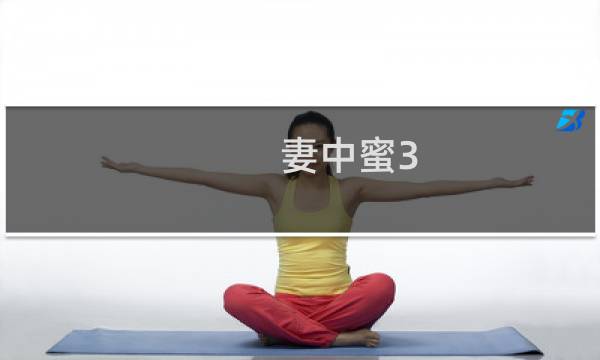 妻中蜜3 攻略