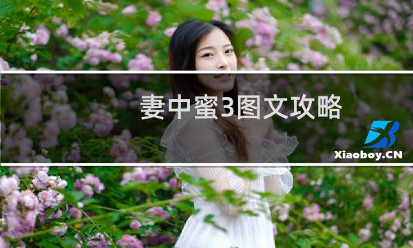 妻中蜜3图文攻略