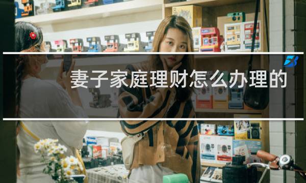妻子家庭理财怎么办理的