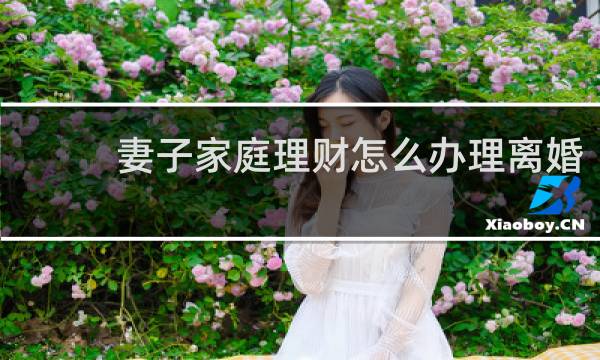 妻子家庭理财怎么办理离婚