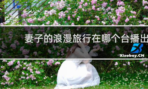 妻子的浪漫旅行在哪个台播出