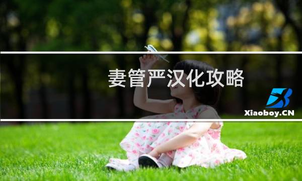 妻管严汉化攻略