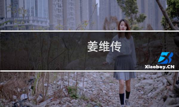 姜维传 攻略集