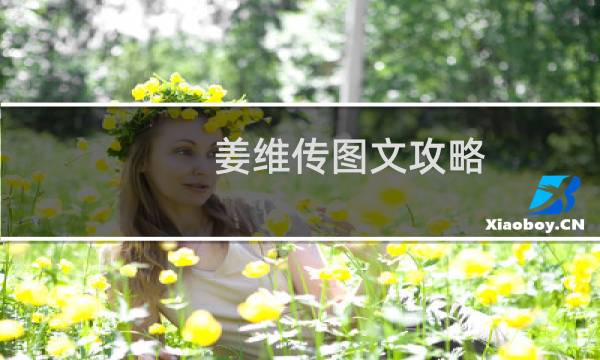 姜维传图文攻略