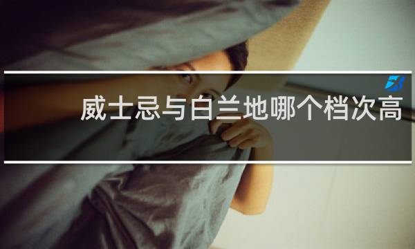 威士忌与白兰地哪个档次高