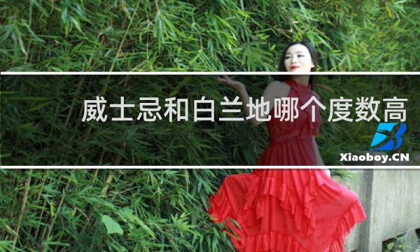 威士忌和白兰地哪个度数高