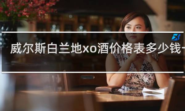 威尔斯白兰地xo酒价格表多少钱一瓶