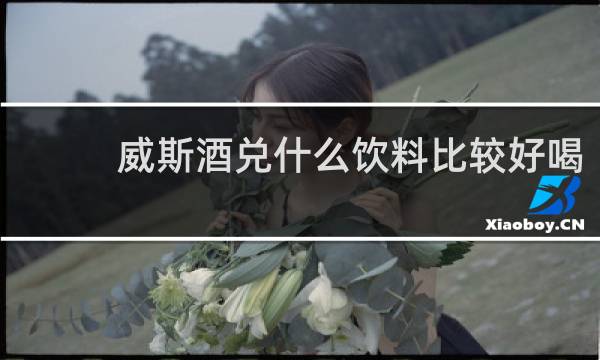 威斯酒兑什么饮料比较好喝