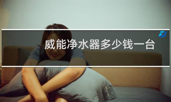 威能净水器多少钱一台