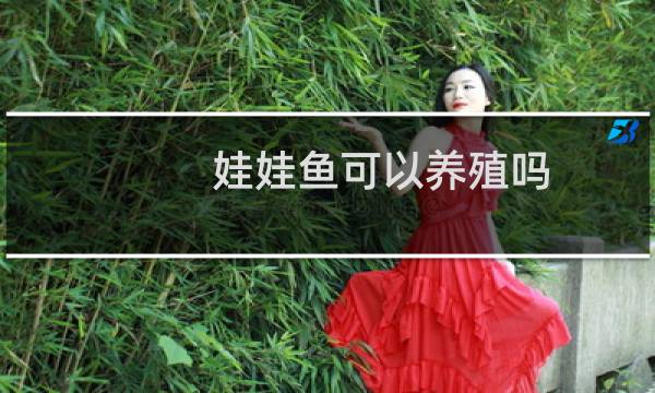 娃娃鱼可以养殖吗