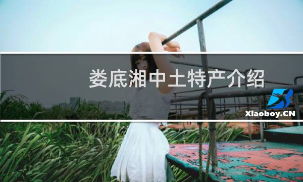 娄底湘中土特产介绍