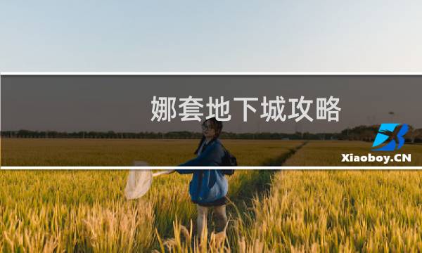 娜套地下城攻略