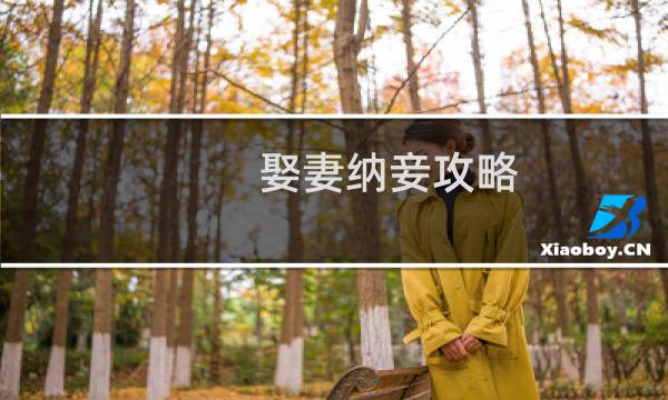 娶妻纳妾攻略.