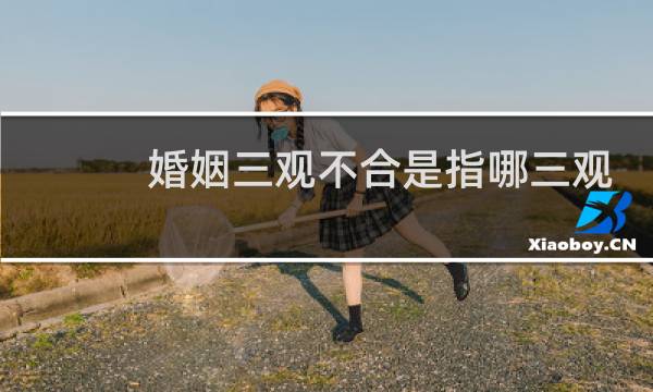 婚姻三观不合是指哪三观