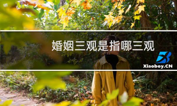 婚姻三观是指哪三观