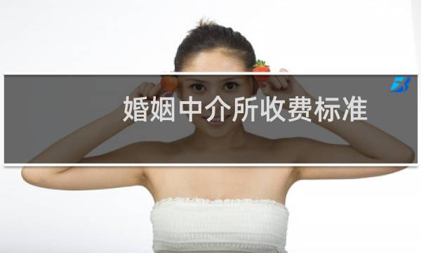婚姻中介所收费标准
