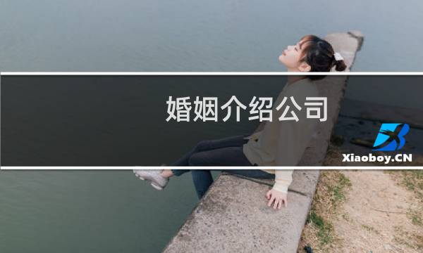 婚姻介绍公司