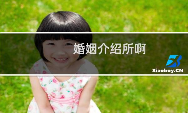 婚姻介绍所啊