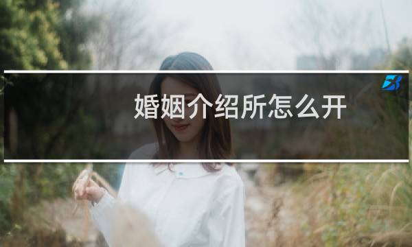 婚姻介绍所怎么开