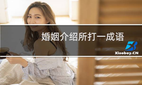 婚姻介绍所打一成语