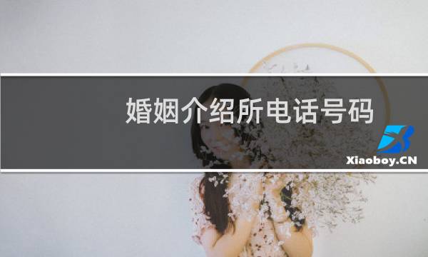 婚姻介绍所电话号码