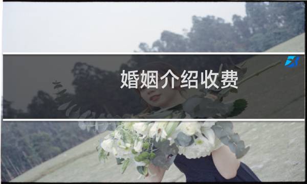 婚姻介绍收费