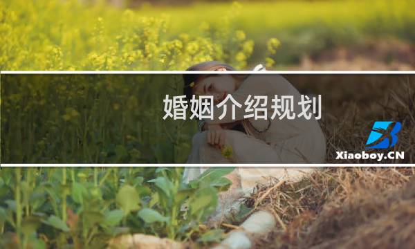 婚姻介绍规划