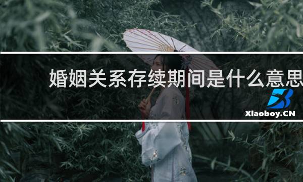 婚姻关系存续期间是什么意思