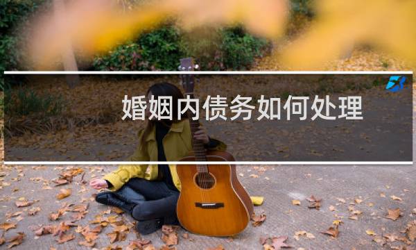 婚姻内债务如何处理