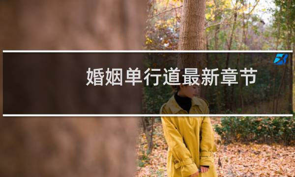 婚姻单行道最新章节