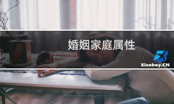 婚姻家庭属性
