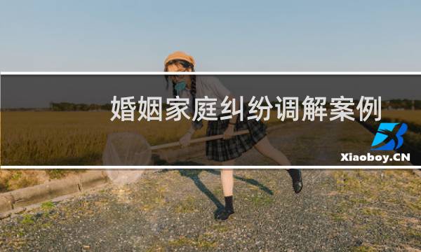 婚姻家庭纠纷调解案例