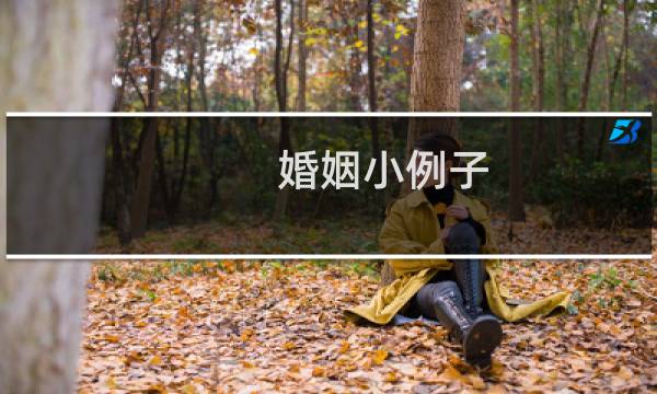 婚姻小例子