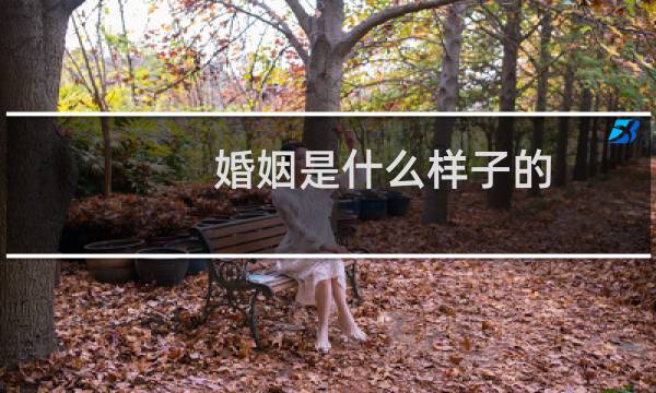 婚姻是什么样子的