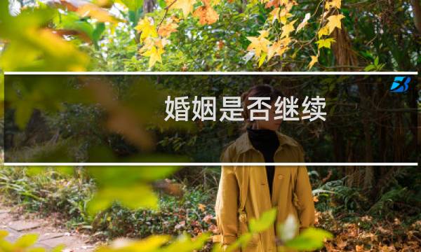 婚姻是否继续