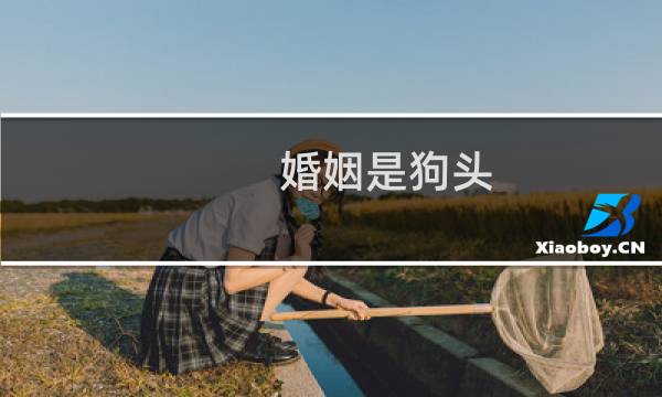 婚姻是狗头