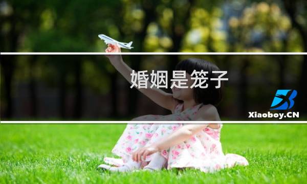 婚姻是笼子