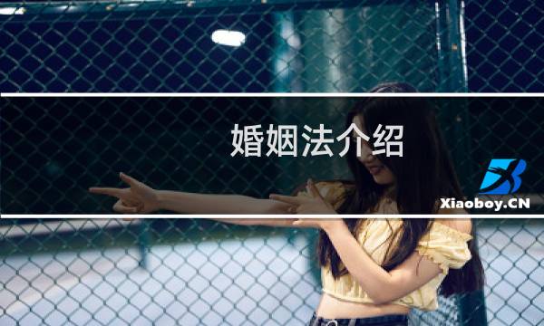 婚姻法介绍