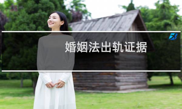 婚姻法出轨证据
