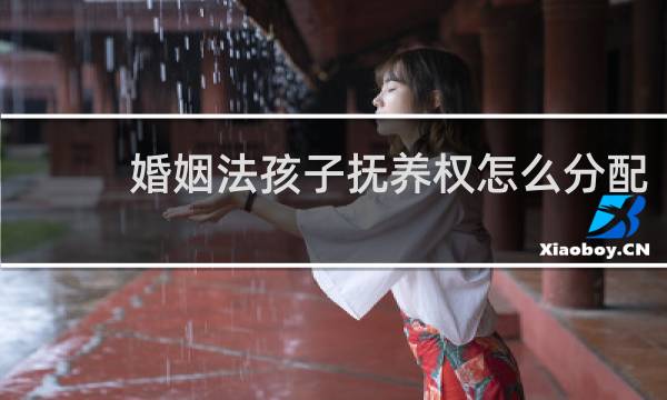 婚姻法孩子抚养权怎么分配
