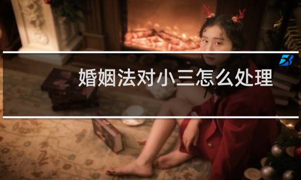 婚姻法对小三怎么处理