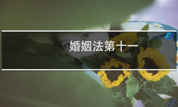 婚姻法第十一
