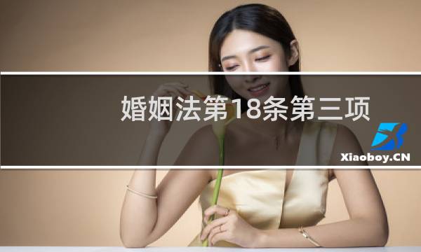 婚姻法第18条第三项